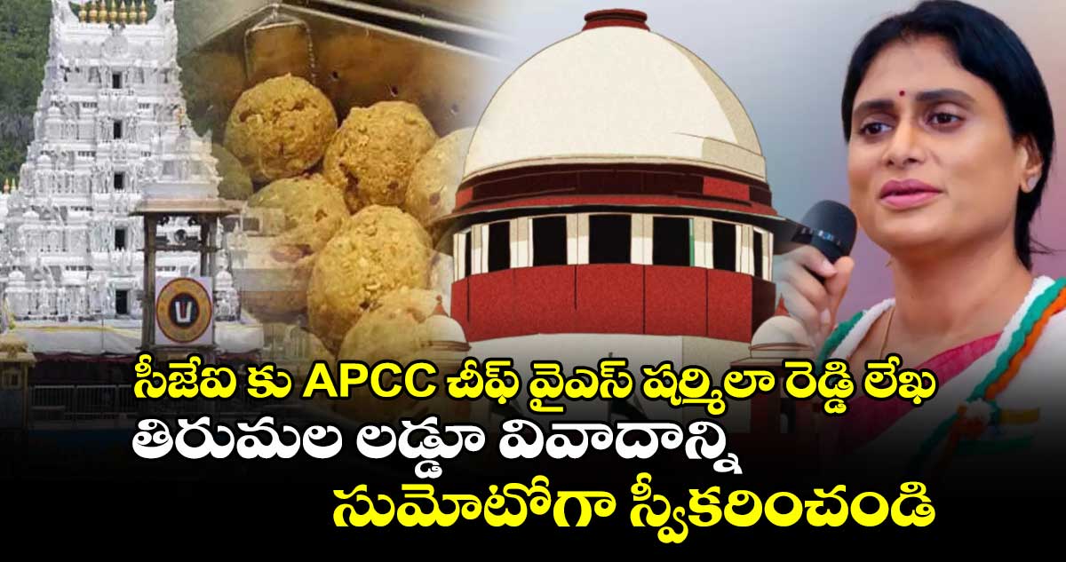 సీజేఐ కు APCC చీఫ్ వైఎస్ షర్మిలా రెడ్డి లేఖ: తిరుమల లడ్డూ వివాదాన్ని సుమోటోగా స్వీకరించండి