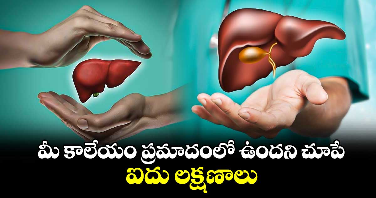 Health Tips: మీ కాలేయం ప్రమాదంలో ఉందని చూపే..ఐదు లక్షణాలు