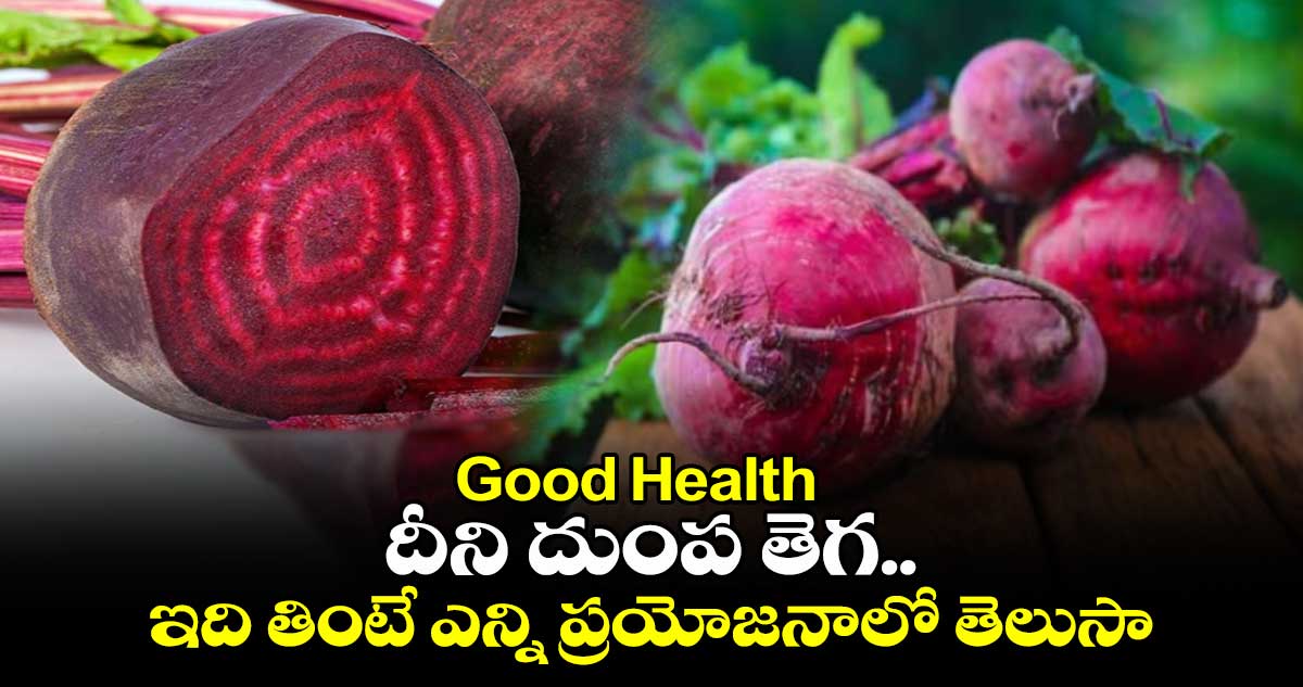 Good Health: దీని దుంప తెగ.. ఇది తింటే ఎన్ని ప్రయోజనాలో తెలుసా..