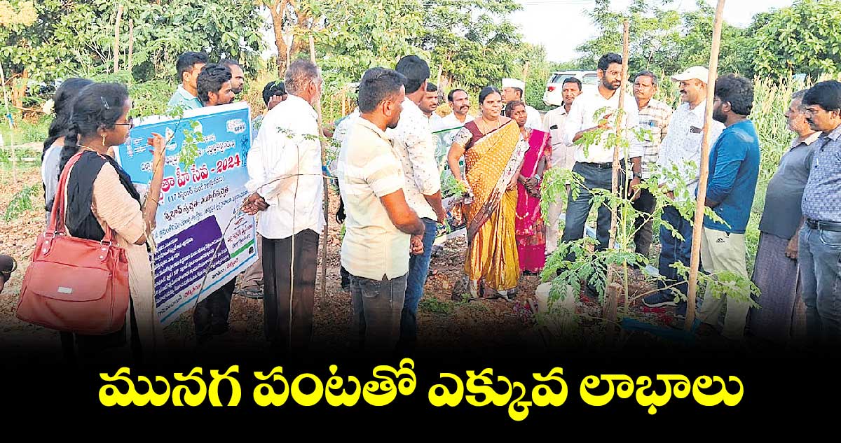 మునగ పంటతో ఎక్కువ లాభాలు :కలెక్టర్ ​జితేశ్​ వి పాటిల్​