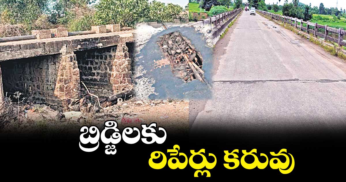 బ్రిడ్జిలకు రిపేర్లు కరువు