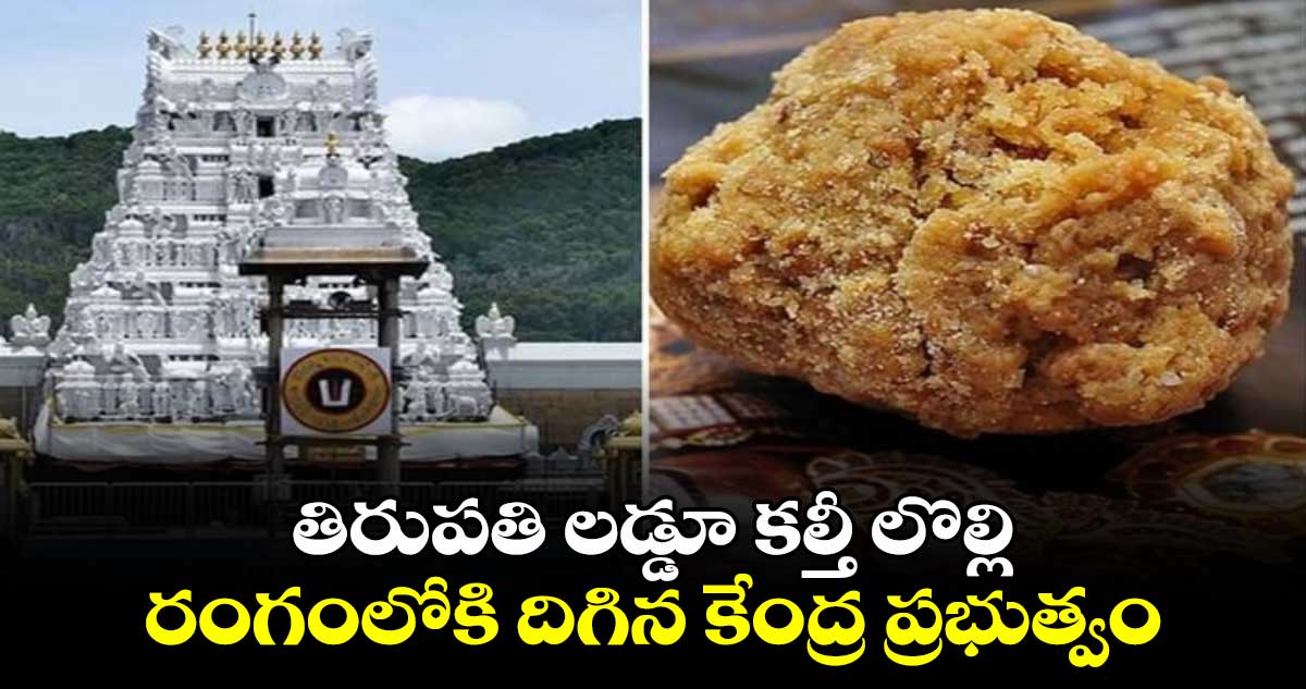 తిరుపతి లడ్డూ కల్తీ లొల్లి: రంగంలోకి దిగిన కేంద్ర ప్రభుత్వం