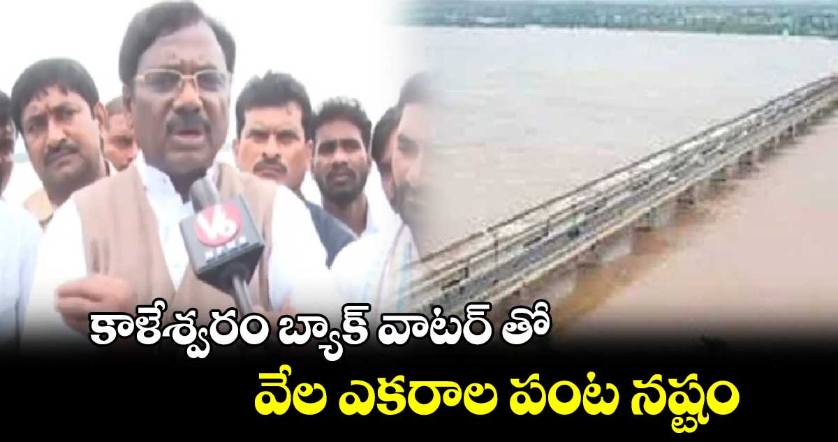 కాళేశ్వరం బ్యాక్ వాటర్ తో వేల ఎకరాల పంట నష్టం: ఎమ్మెల్యే వివేక్