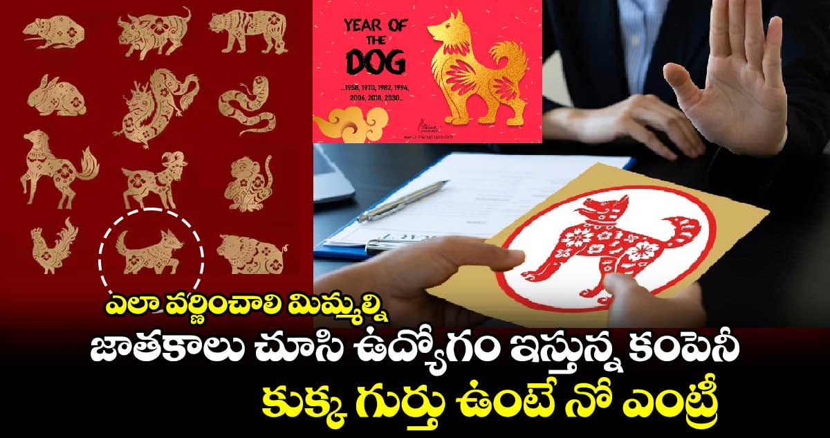 ఎలా వర్ణించాలి మిమ్మల్ని : జాతకాలు చూసి ఉద్యోగం ఇస్తున్న కంపెనీ.. కుక్క గుర్తు ఉంటే నో ఎంట్రీ