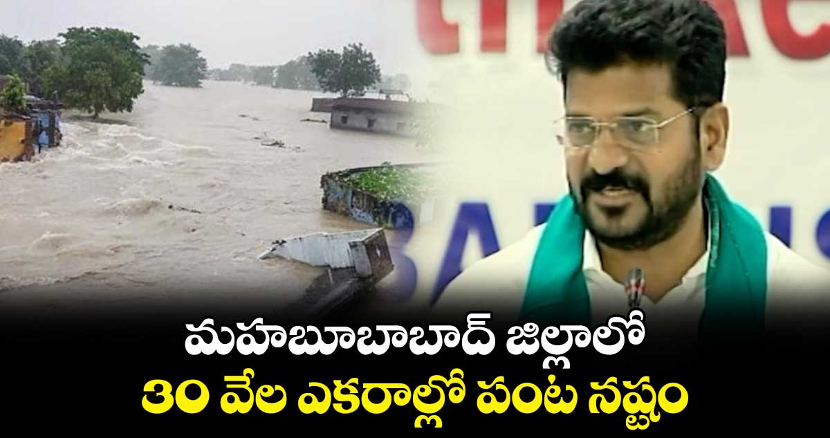 మహబూబాబాద్ జిల్లాలో 30 వేల ఎకరాల్లో పంట నష్టం : సీఎం రేవంత్ రెడ్డి