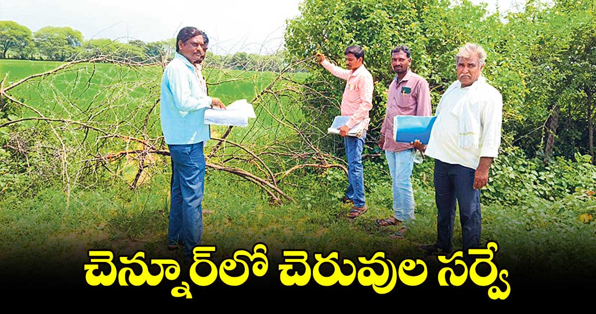 చెన్నూర్​లో చెరువుల సర్వే : కలెక్టర్​ కుమార్ ​దీపక్