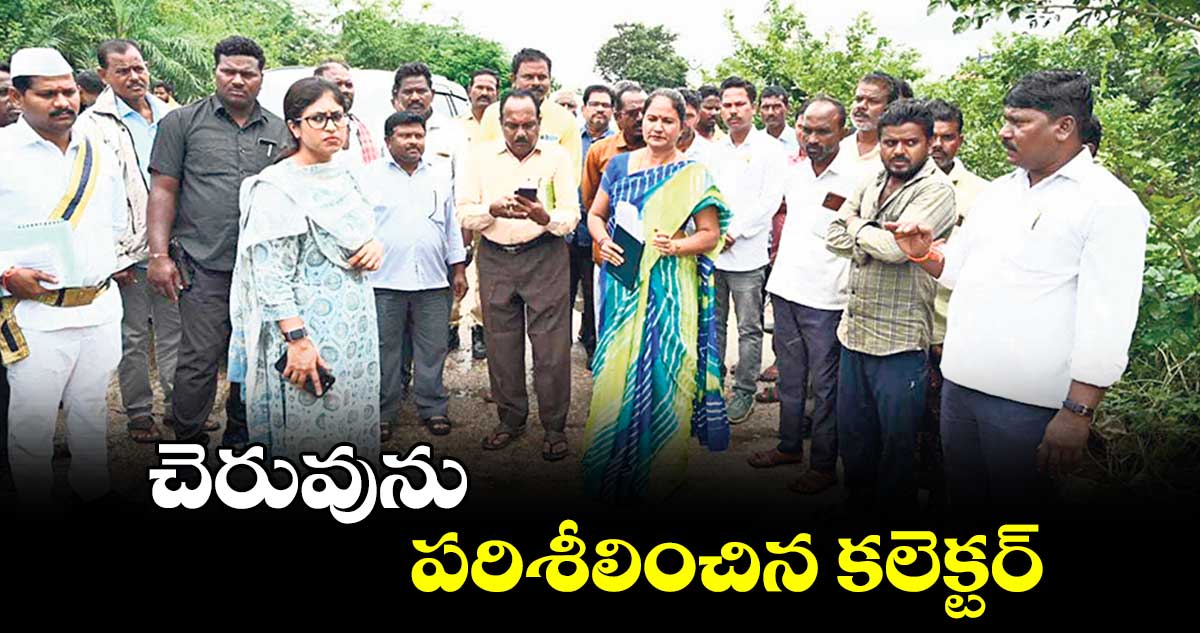 చెరువును పరిశీలించిన కలెక్టర్