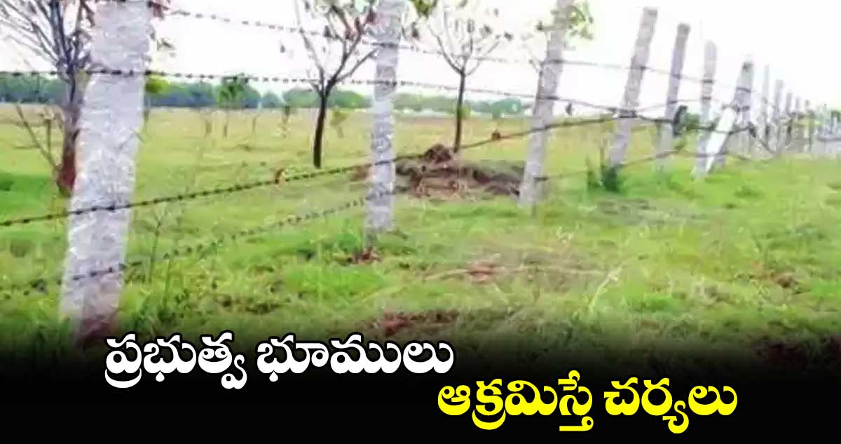 ప్రభుత్వ భూములు ఆక్రమిస్తే చర్యలు : కలెక్టర్ తేజస్ నందలాల్ పవార్ 