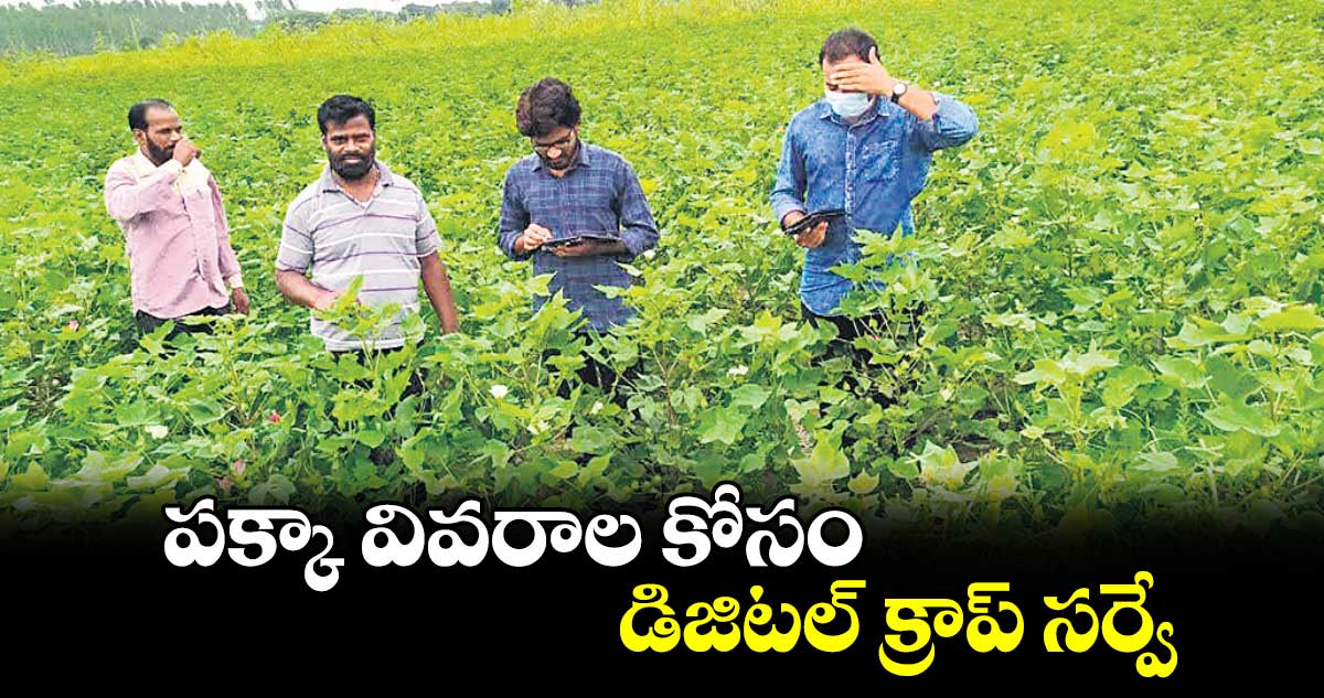 పక్కా వివరాల కోసం డిజిటల్​ క్రాప్​ సర్వే 