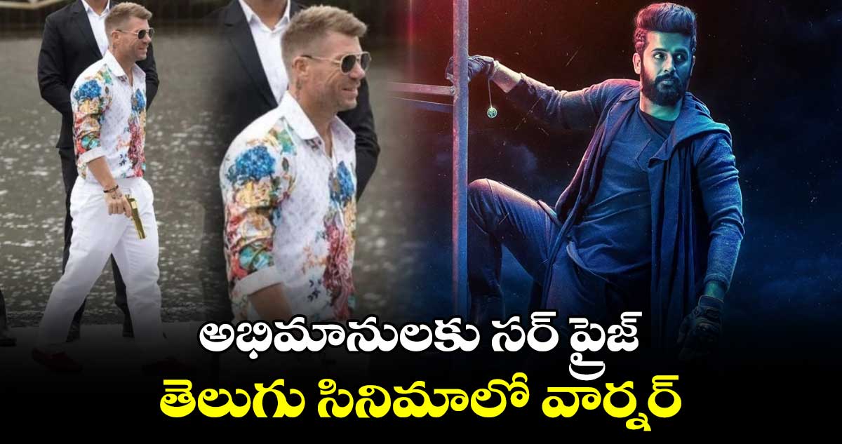 David Warner: అభిమానులకు సర్ ప్రైజ్.. తెలుగు సినిమాలో వార్నర్