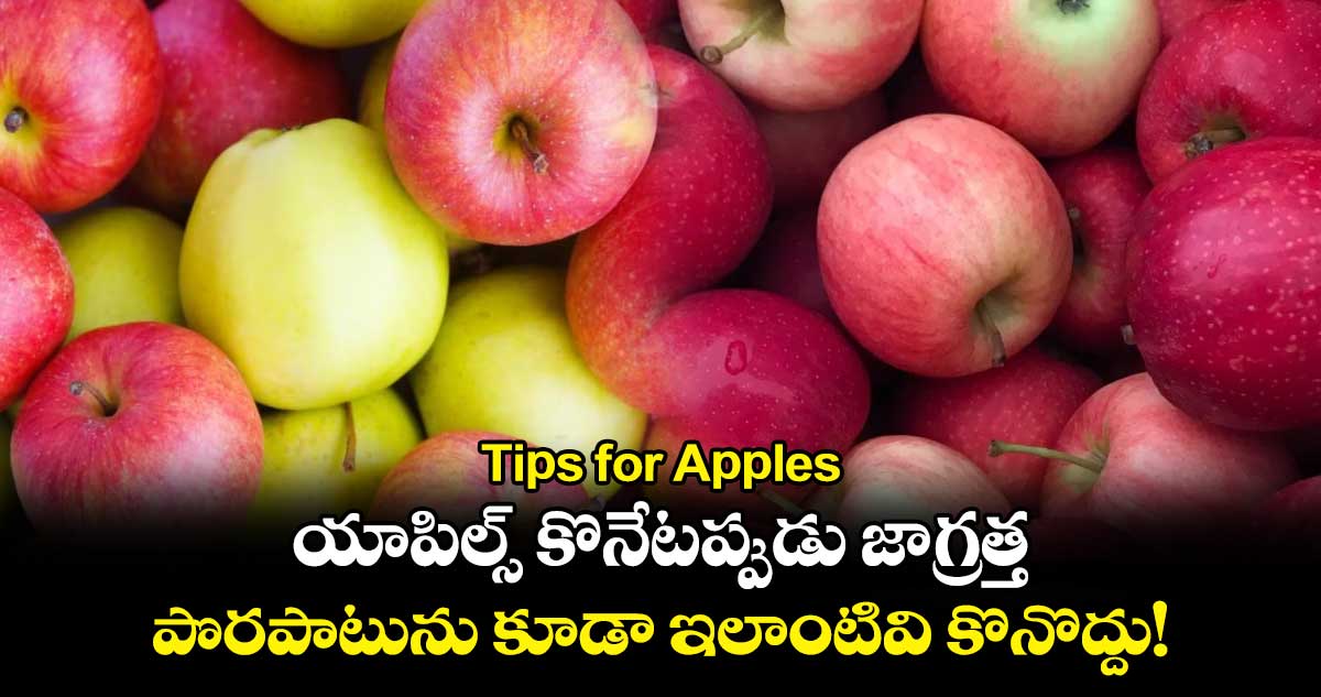 Tips for Apples: యాపిల్స్ కొనేటప్పుడు జాగ్రత్త.. పొరపాటును కూడా ఇలాంటివి కొనొద్దు!