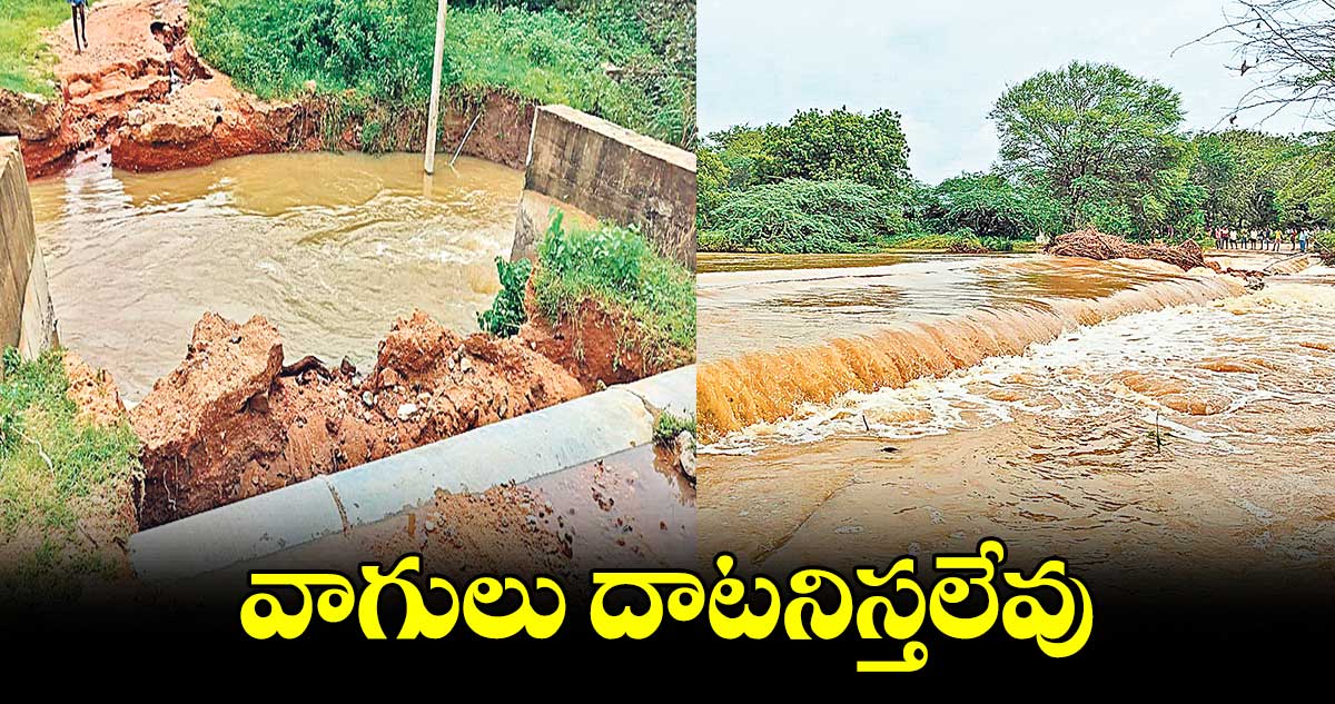 వాగులు దాటనిస్తలేవు