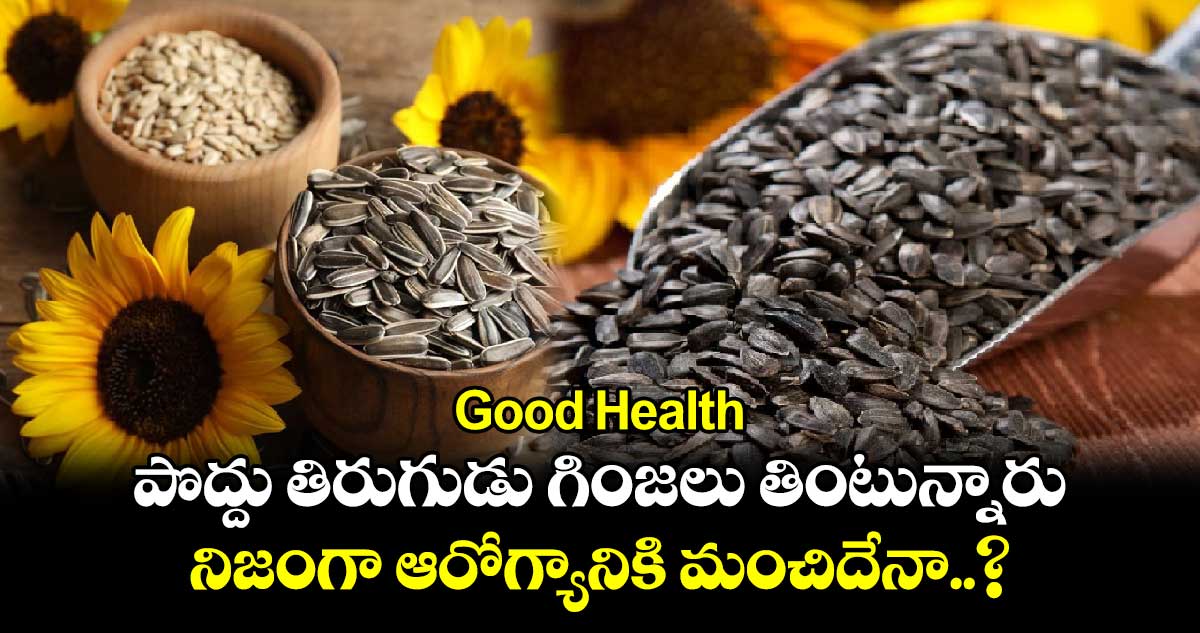 Good Health : పొద్దు తిరుగుడు గింజలు తింటున్నారు.. నిజంగా ఆరోగ్యానికి మంచిదేనా..?