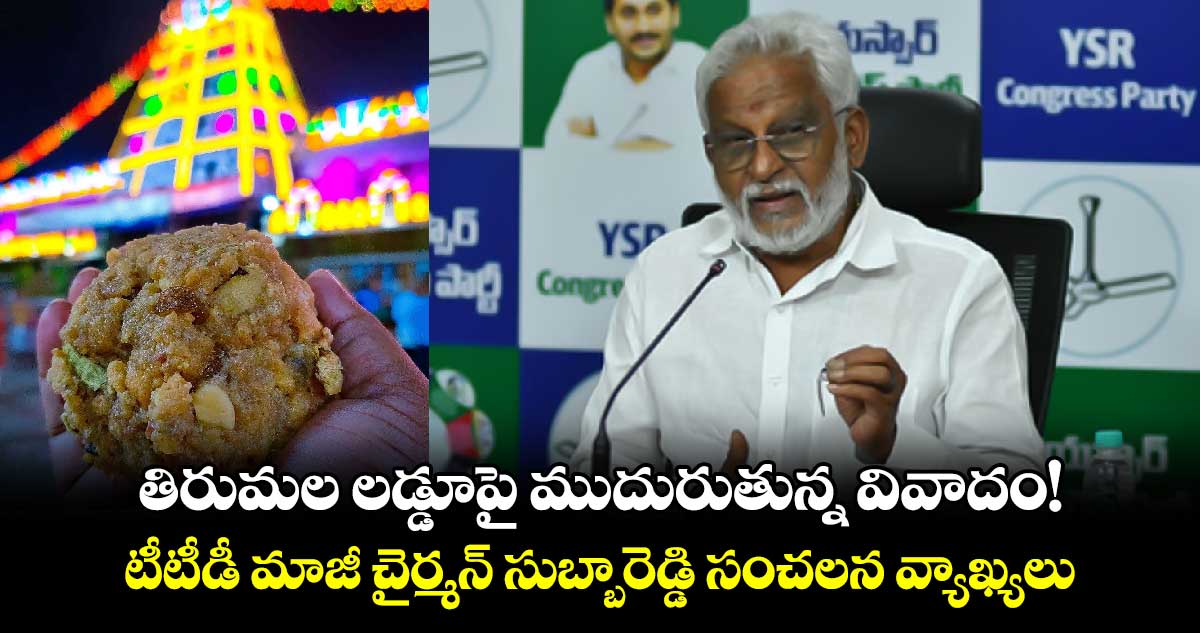 తిరుమల లడ్డూపై ముదురుతున్న వివాదం! టీటీడీ మాజీ చైర్మన్ సుబ్బారెడ్డి సంచలన వ్యాఖ్యలు