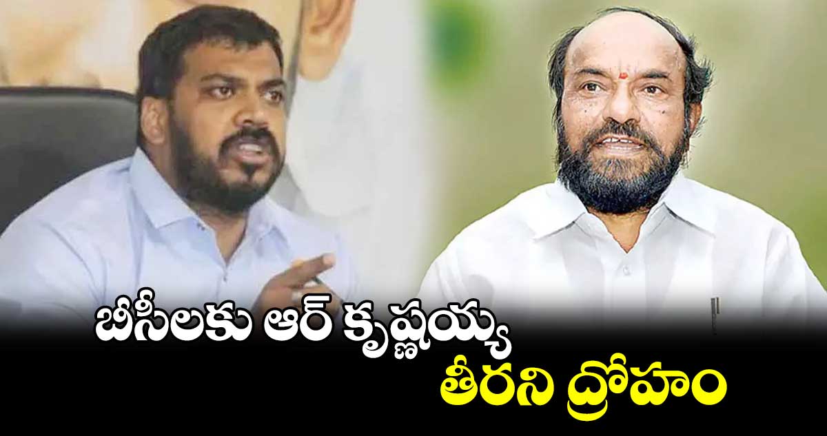 బీసీలకు ఆర్ కృష్ణయ్య తీరని ద్రోహం: మాజీ మంత్రి అనిల్ కుమార్