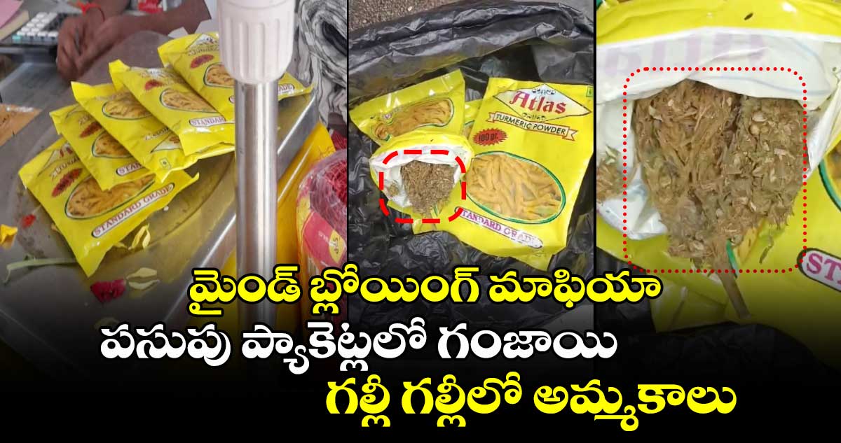 మైండ్ బ్లోయింగ్ మాఫియా : పసుపు ప్యాకెట్లలో గంజాయి.. గల్లీ గల్లీలో అమ్మకాలు