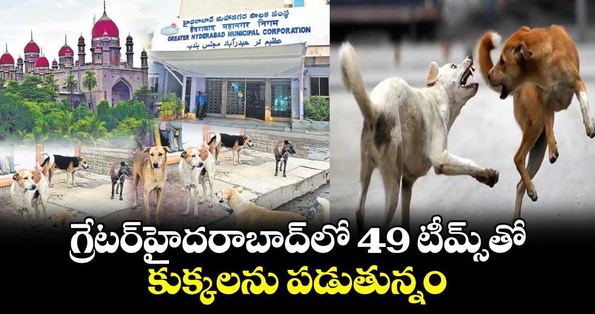 గ్రేటర్​హైదరాబాద్‌లో 49 టీమ్స్‌తో  కుక్కలను పడుతున్నం