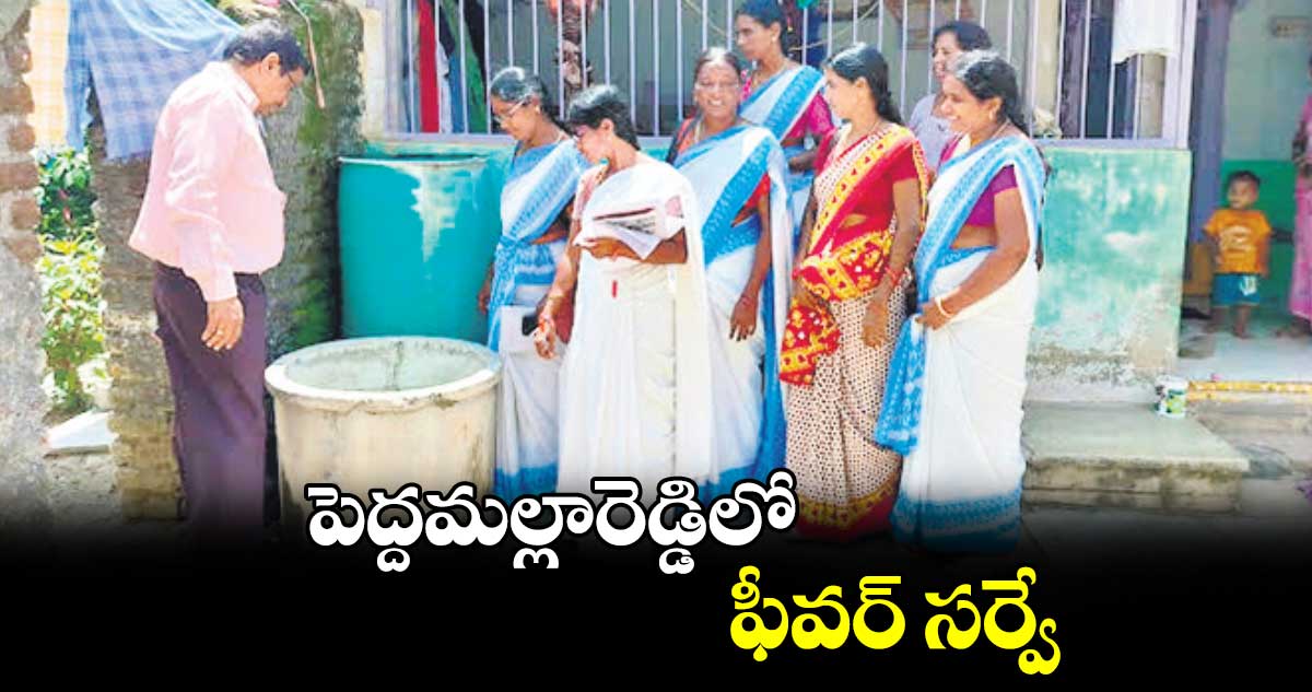 పెద్దమల్లారెడ్డిలో ఫీవర్​ సర్వే