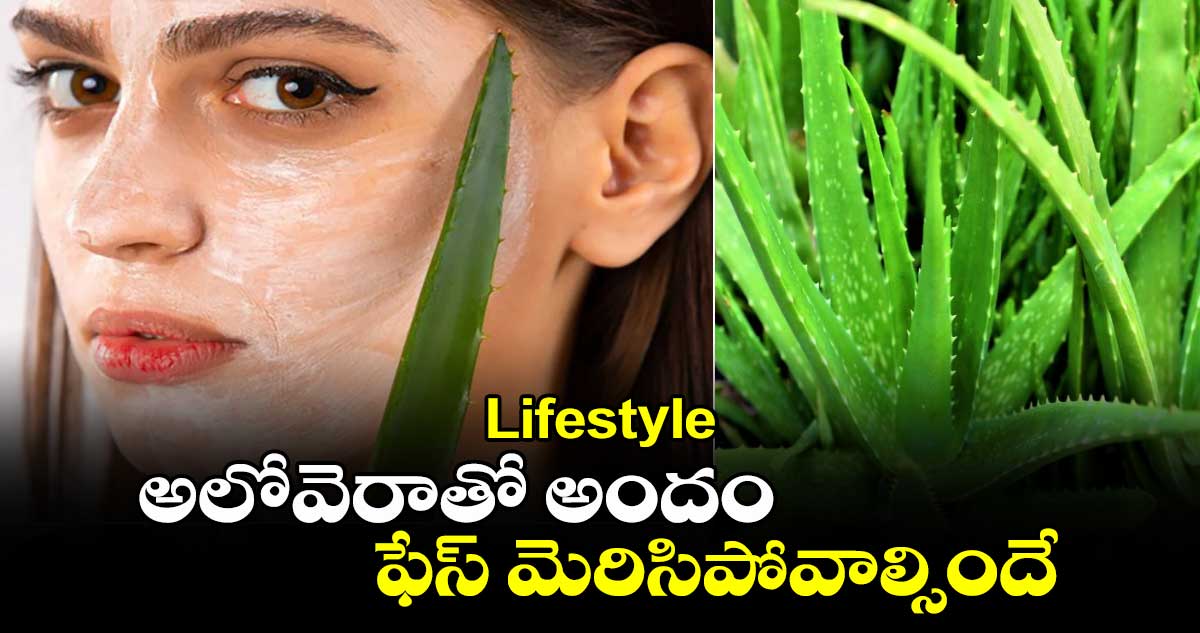 Lifestyle: అలోవెరాతో అందం....  ఫేస్​ మెరిసిపోవాల్సిందే..