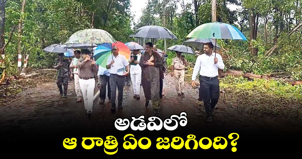 అడవిలో ఆ రాత్రి ఏం జరిగింది?