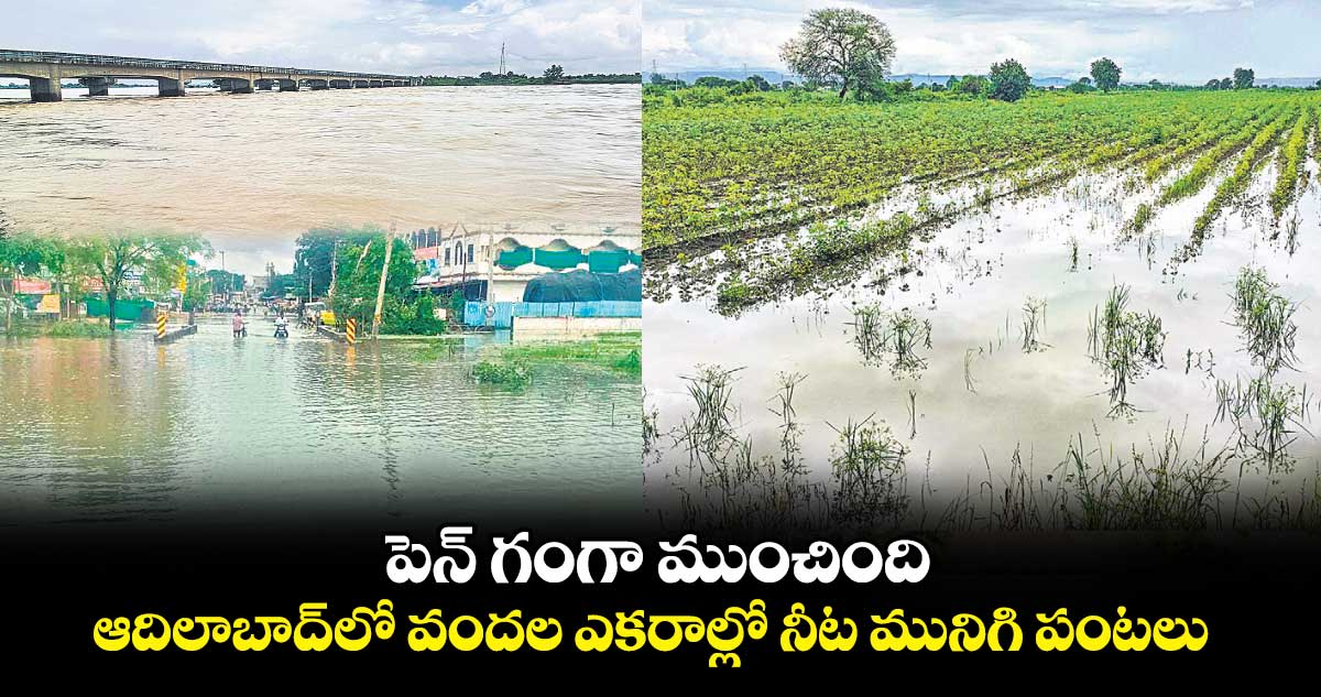 పెన్ గంగా ముంచింది .. ఆదిలాబాద్​లో వందల ఎకరాల్లో నీట మునిగి పంటలు 