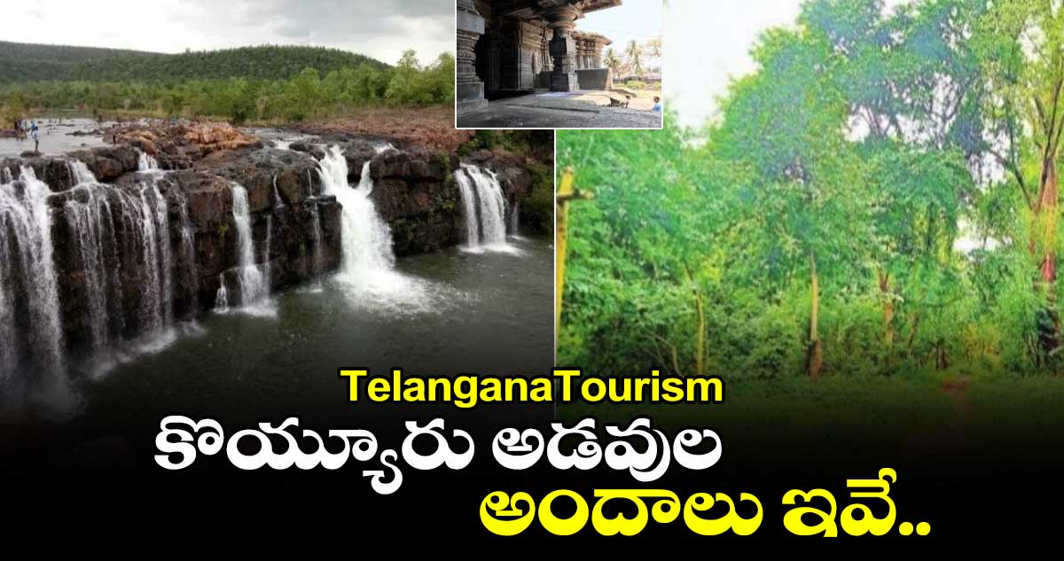 TelanganaTourism:కొయ్యూరు అడవుల అందాలు ఇవే.. 