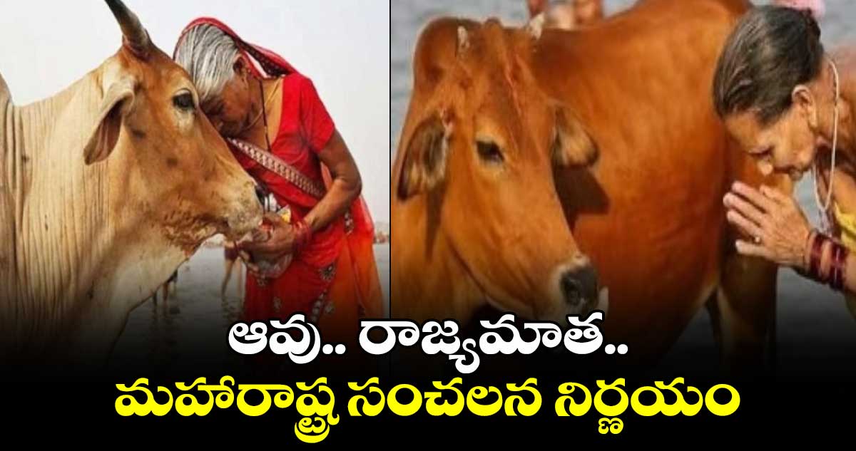 ఆవు.. రాజ్యమాత.. మహారాష్ట్ర సంచలన నిర్ణయం