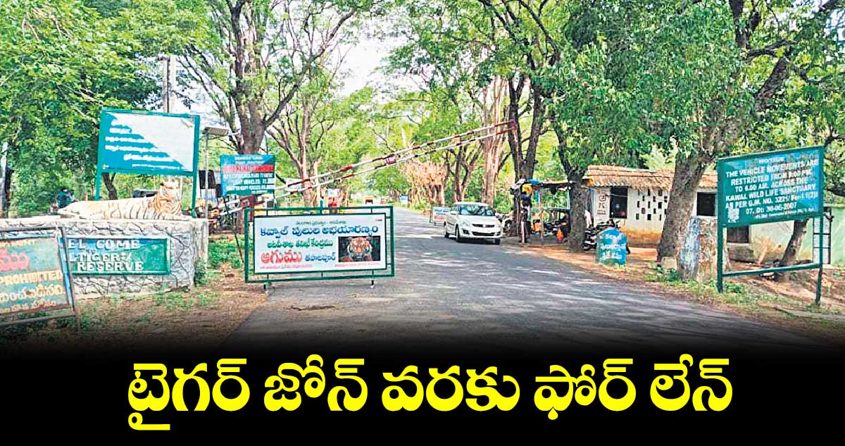 టైగర్ జోన్ వరకు ఫోర్ లేన్