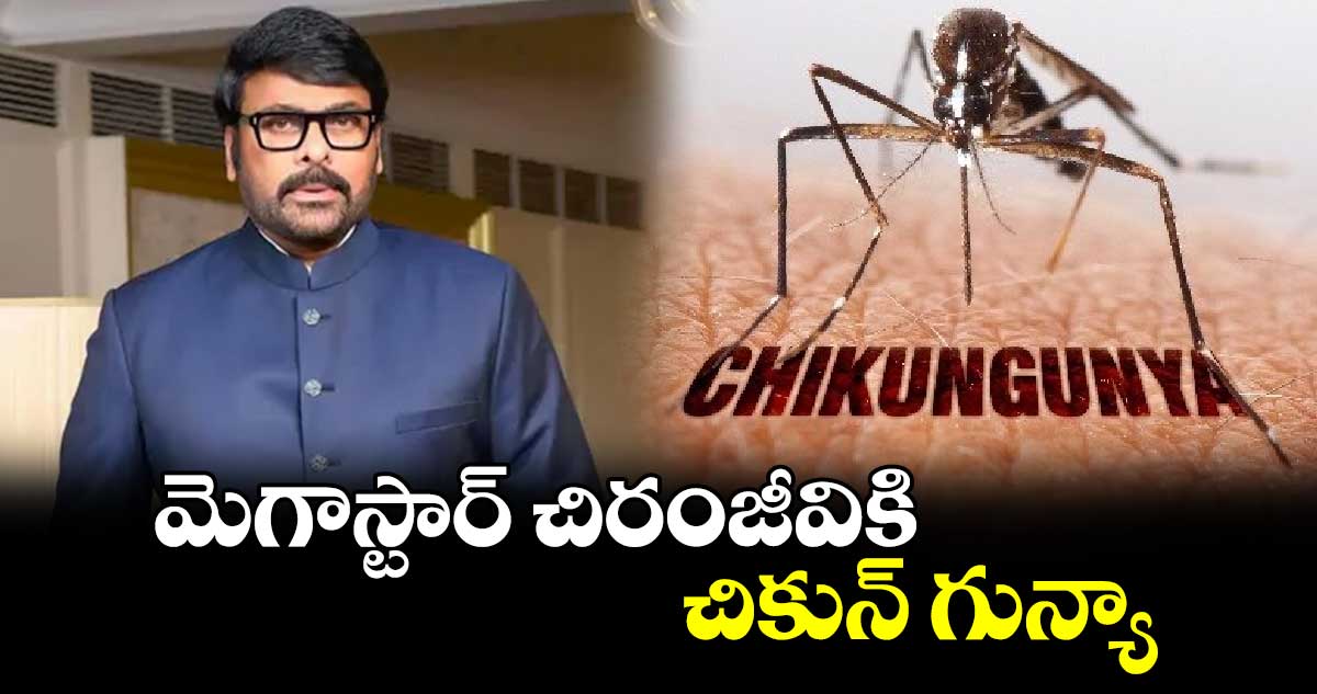 మెగాస్టార్ చిరంజీవికి చికున్ గున్యా