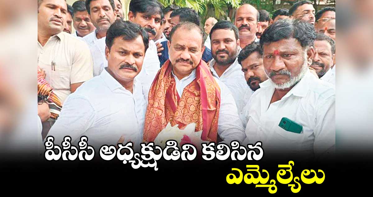 పీసీసీ అధ్యక్షుడిని కలిసిన ఎమ్మెల్యేలు