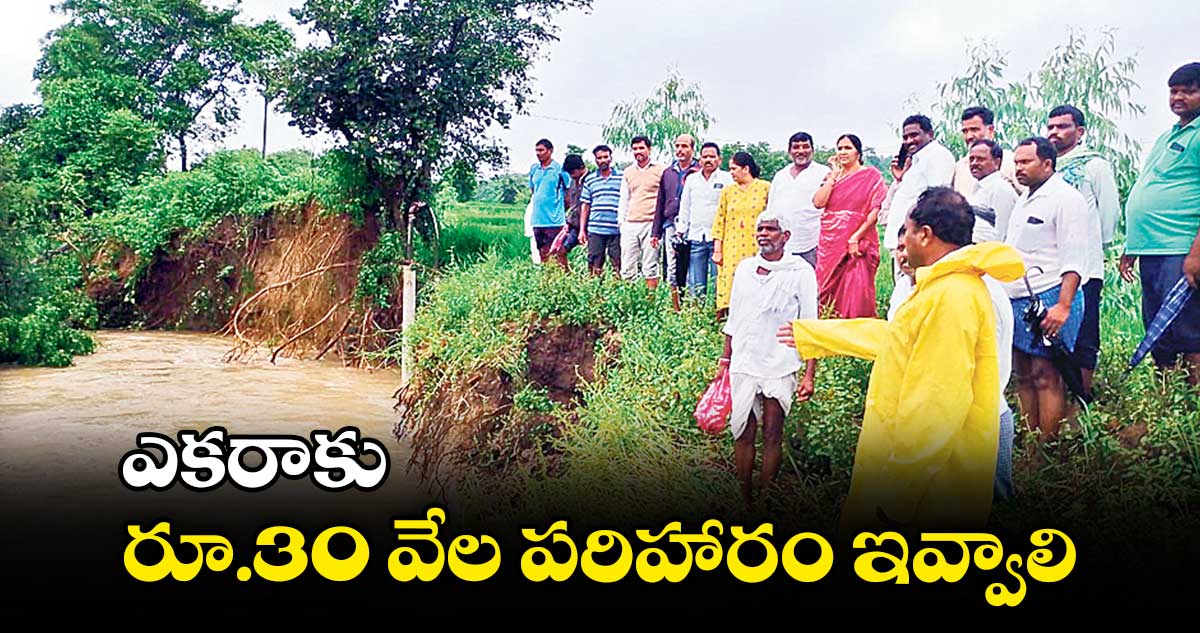 ఎకరాకు రూ.30 వేల పరిహారం ఇవ్వాలి