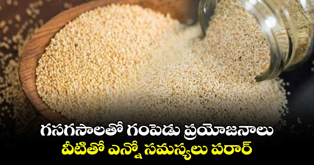 Good Health: గసగసాలతో గంపెడు ప్రయోజనాలు.. వీటితో ఎన్నో సమస్యలు పరార్​