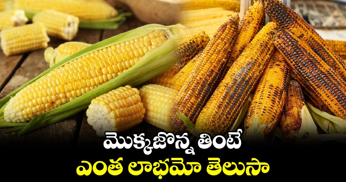 Good Health: మొక్కజొన్న తింటే ఎంత లాభమో తెలుసా