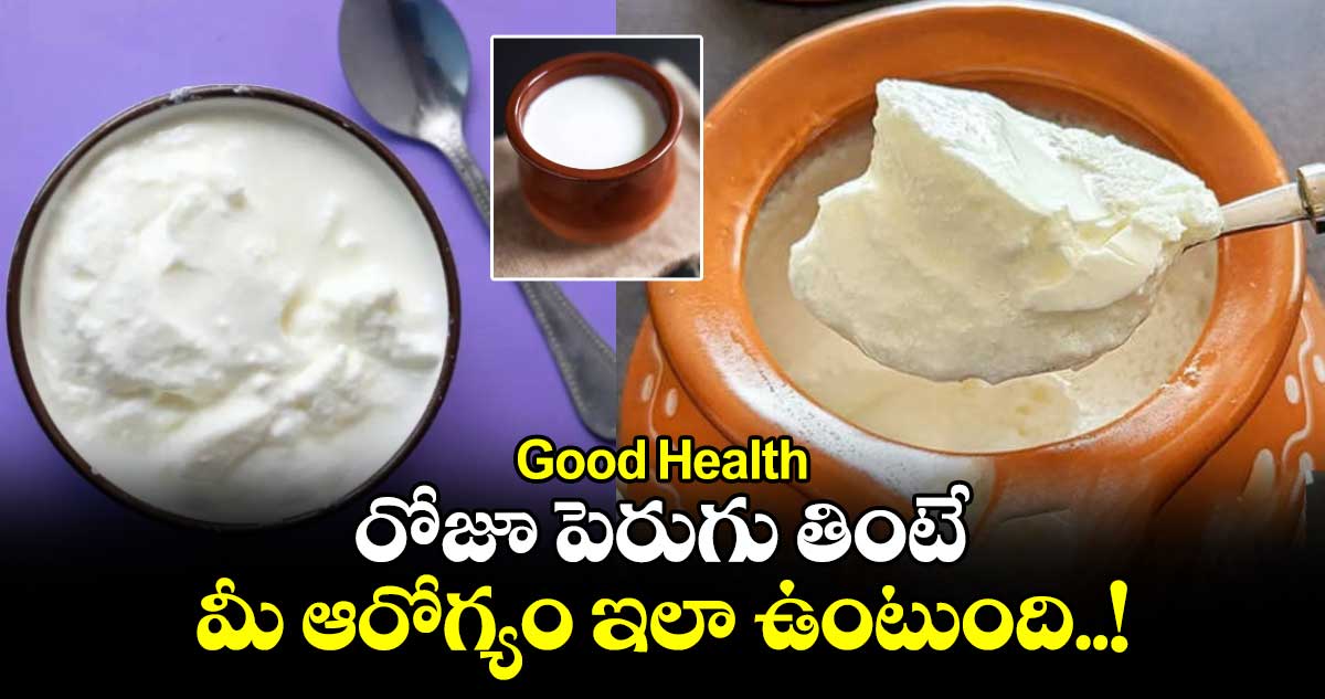 Good Health : రోజూ పెరుగు తింటే మీ ఆరోగ్యం ఇలా ఉంటుంది..!