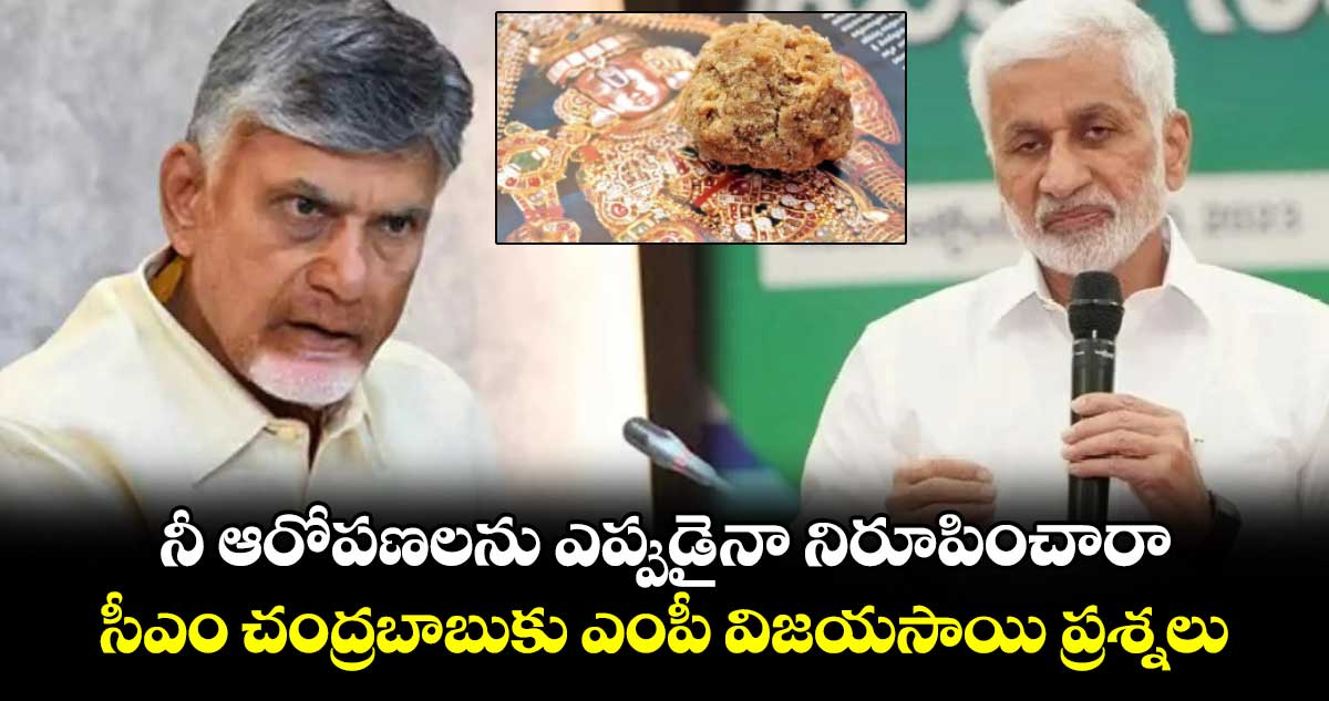 నీ ఆరోపణలను ఎప్పుడైనా నిరూపించారా : సీఎం చంద్రబాబుకు ఎంపీ విజయసాయి ప్రశ్నలు