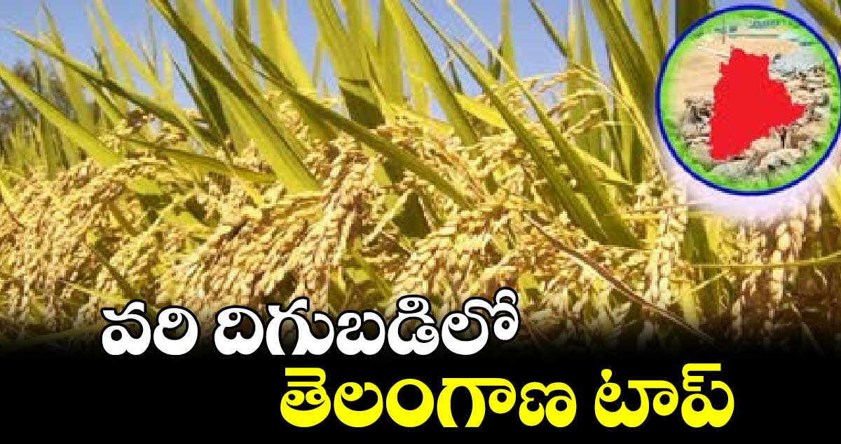 Current Affairs: వరి దిగుబడిలో తెలంగాణ టాప్​ 