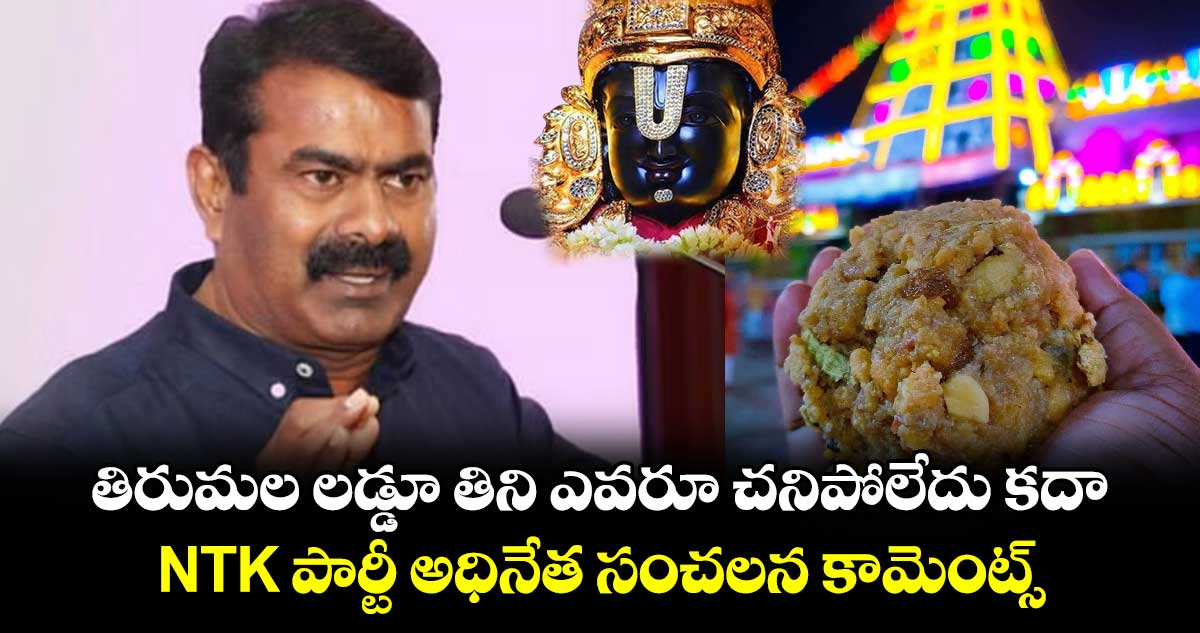 తిరుమల లడ్డూ తిని ఎవరూ చనిపోలేదు కదా : NTK పార్టీ అధినేత సంచలన కామెంట్స్