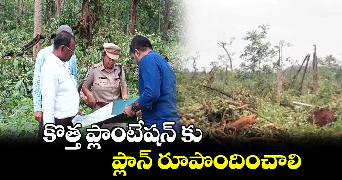 కొత్త ప్లాంటేషన్ కు ప్లాన్ రూపొందించాలి : పోదెం వీరయ్య