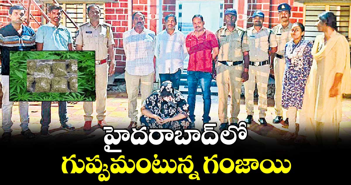 హైదరాబాద్ లో గుప్పుమంటున్న గంజాయి