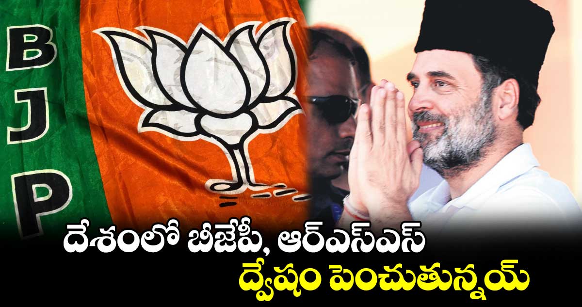 దేశంలో బీజేపీ, ఆర్ఎస్ఎస్ ద్వేషం పెంచుతున్నయ్: రాహుల్ గాంధీ