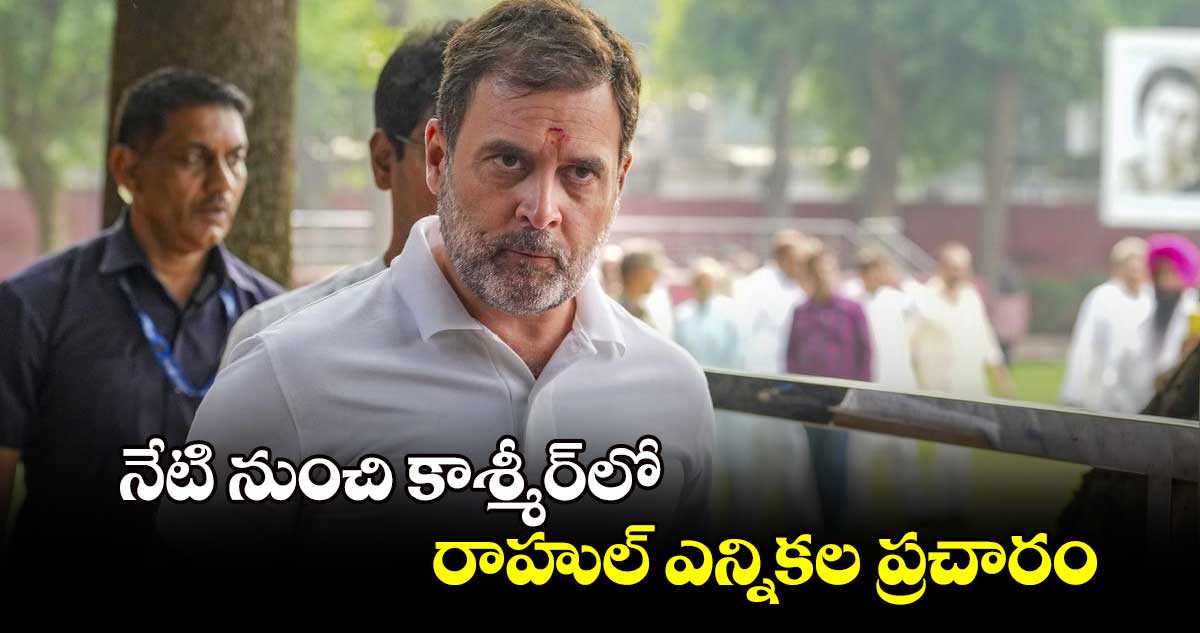 నేటి నుంచి కాశ్మీర్​లో...రాహుల్ ఎన్నికల ప్రచారం