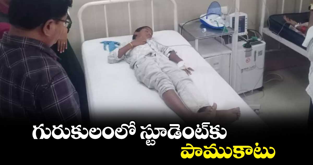 గురుకులంలో స్టూడెంట్‌‌కు పాముకాటు