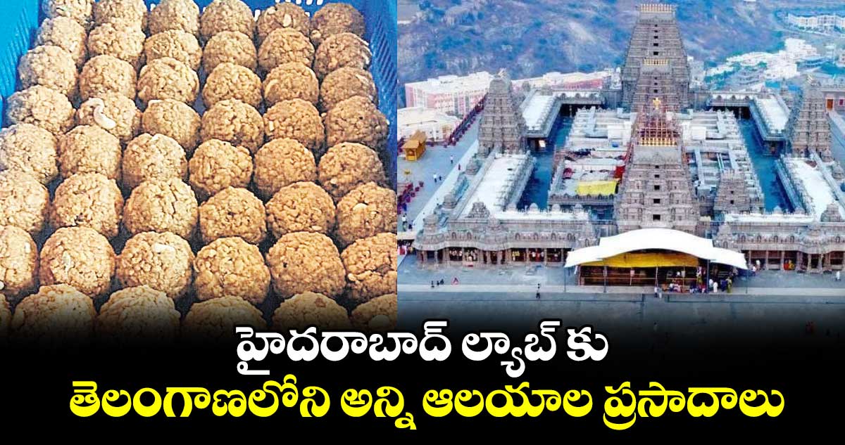 హైదరాబాద్ ల్యాబ్ కు తెలంగాణలోని అన్ని ఆలయాల ప్రసాదాలు..