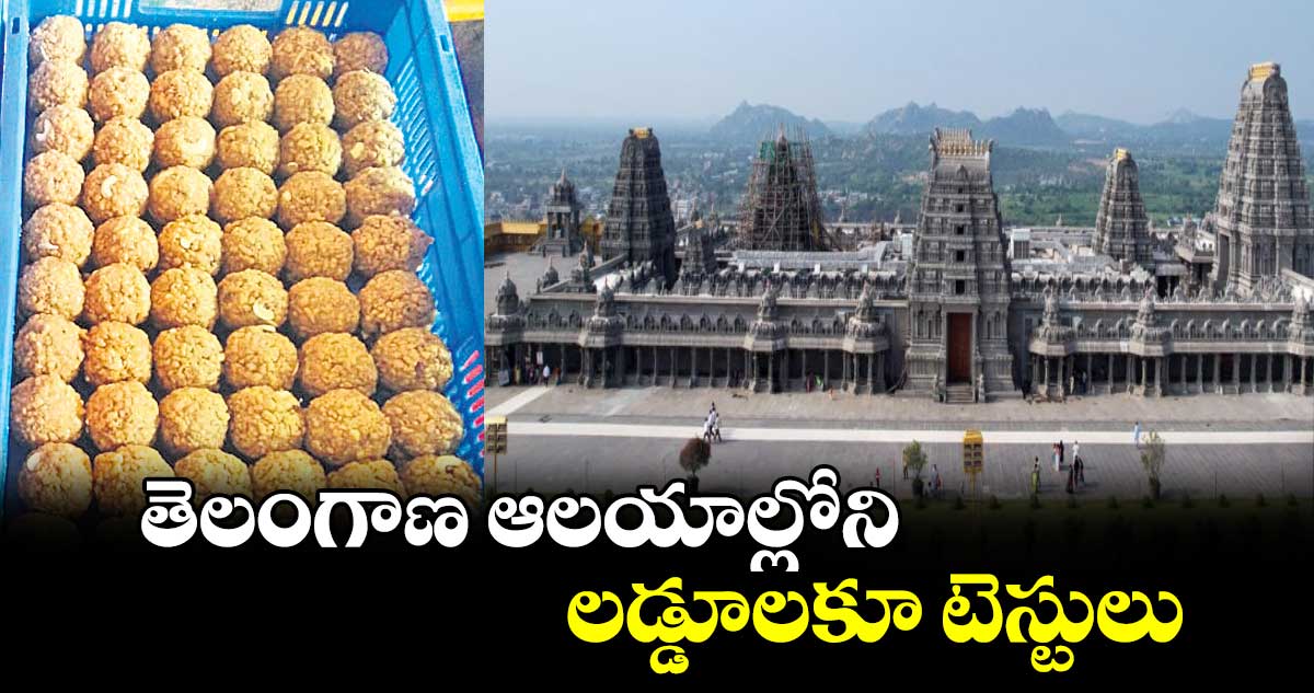 తెలంగాణ ఆలయాల్లోని లడ్డూలకూ టెస్టులు 