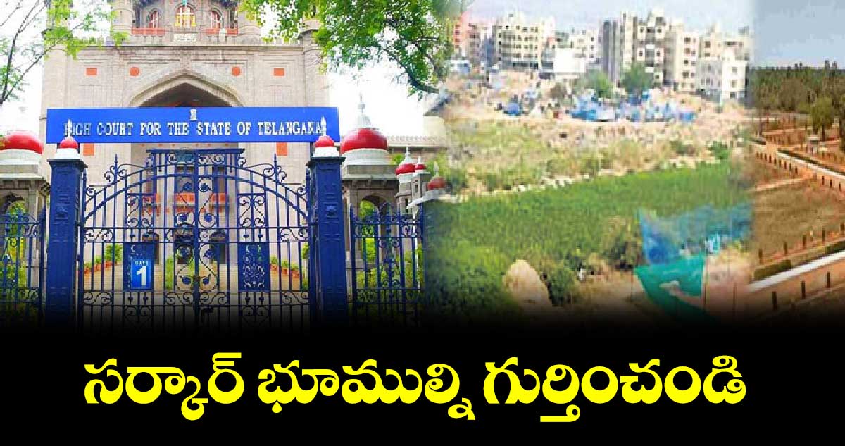 సర్కార్‌‌‌‌ భూముల్ని గుర్తించండి: హైకోర్టు 