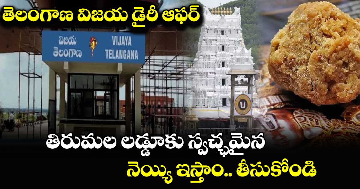 తెలంగాణ విజయ డైరీ ఆఫర్ : తిరుమల లడ్డూకు స్వచ్ఛమైన నెయ్యి ఇస్తాం.. తీసుకోండి