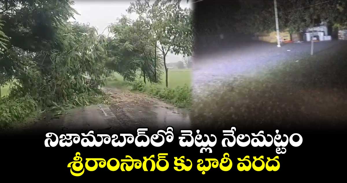 నిజామాబాద్‌లో చెట్లు నేలమట్టం.. శ్రీరాంసాగర్ కు భారీ వరద