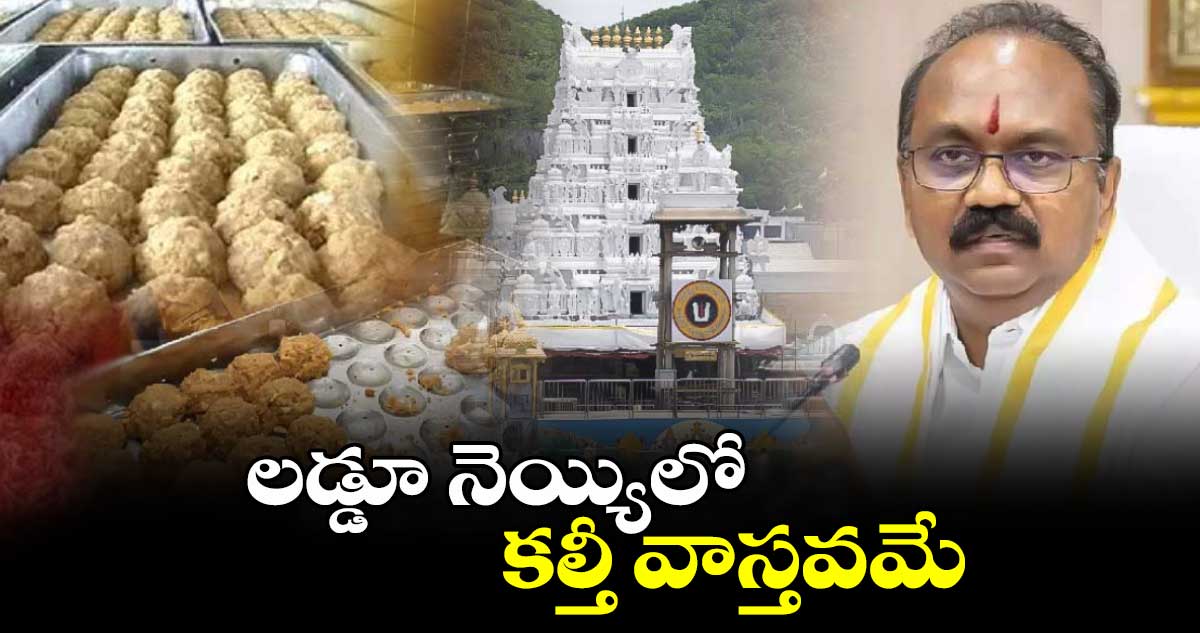 లడ్డూ నెయ్యిలో కల్తీ వాస్తవమే:టీటీడీ ఈవో శ్యామలారావు 