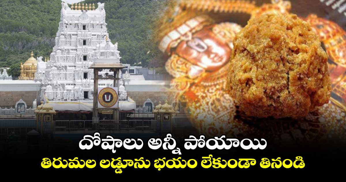 దోషాలు అన్నీ పోయాయి.. తిరుమల లడ్డూను భయం లేకుండా తినండి