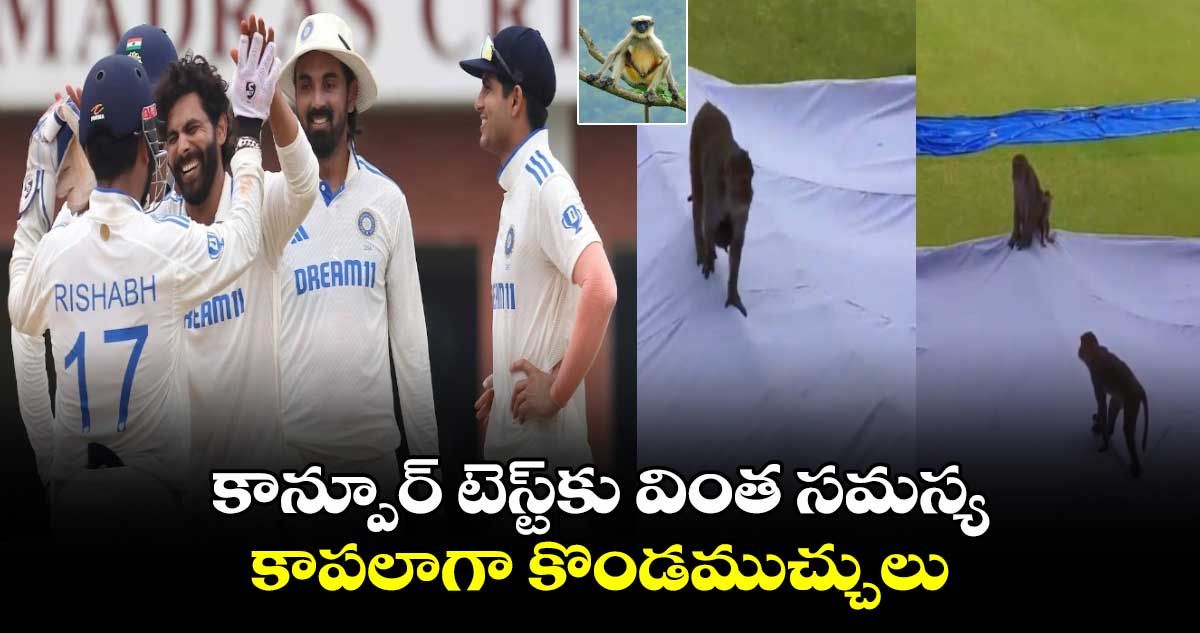 IND vs BAN 2024: కాన్పూర్ టెస్ట్‌కు వింత సమస్య.. కాపలాగా కొండముచ్చులు